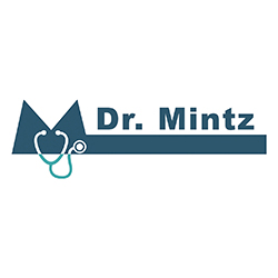 IdeaFire client logo - Dr. Mintz